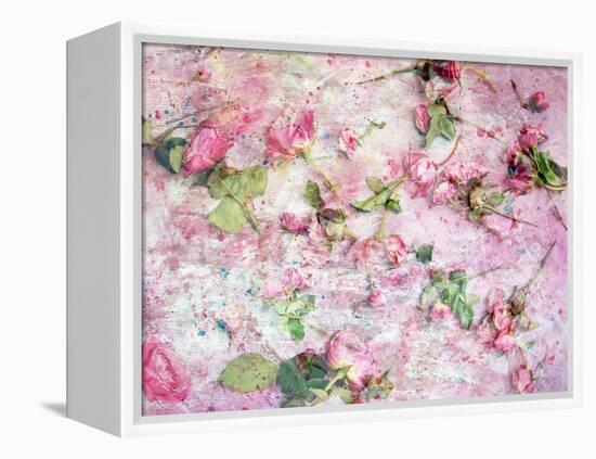 A Poetic Floral Montage from Pink Roses on Painted Texture-Alaya Gadeh-Framed Premier Image Canvas