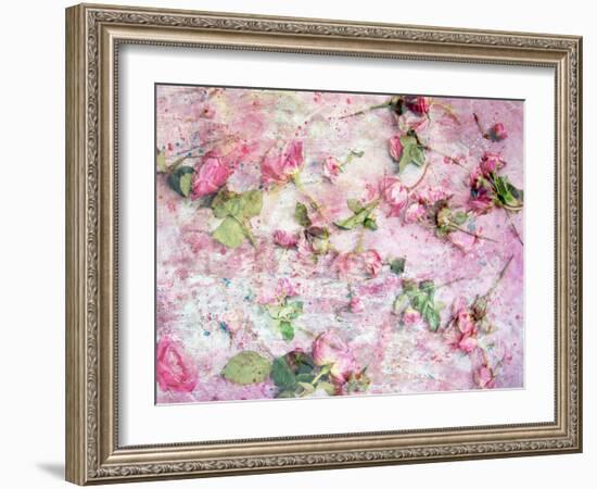 A Poetic Floral Montage from Pink Roses on Painted Texture-Alaya Gadeh-Framed Photographic Print