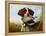 A Pointer with a Quail Amongst Clover-Arthur Fitzwilliam Tait-Framed Premier Image Canvas