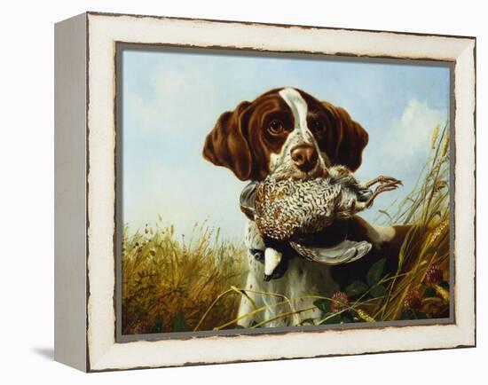 A Pointer with a Quail Amongst Clover-Arthur Fitzwilliam Tait-Framed Premier Image Canvas