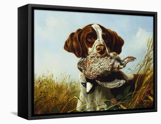 A Pointer with a Quail Amongst Clover-Arthur Fitzwilliam Tait-Framed Premier Image Canvas