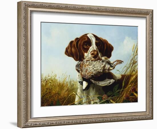 A Pointer with a Quail Amongst Clover-Arthur Fitzwilliam Tait-Framed Giclee Print