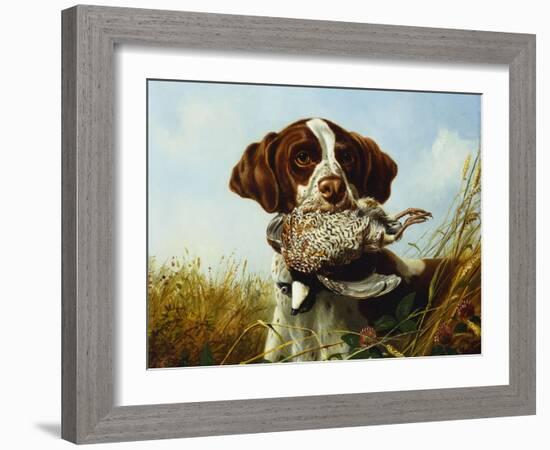 A Pointer with a Quail Amongst Clover-Arthur Fitzwilliam Tait-Framed Giclee Print