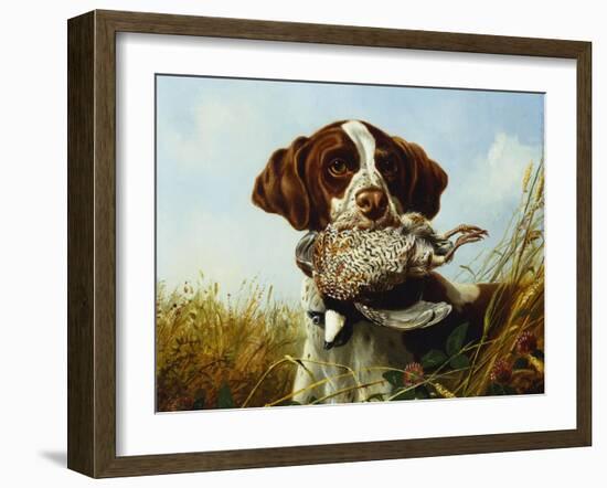 A Pointer with a Quail Amongst Clover-Arthur Fitzwilliam Tait-Framed Giclee Print