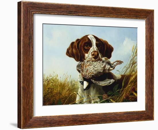 A Pointer with a Quail Amongst Clover-Arthur Fitzwilliam Tait-Framed Giclee Print