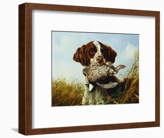 A Pointer with a Quail Amongst Clover-Arthur Fitzwilliam Tait-Framed Premium Giclee Print