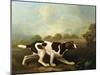 A Pointer-George Stubbs-Mounted Giclee Print