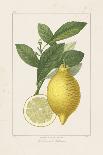 Les Citrons II-A^ Poiteau-Giclee Print