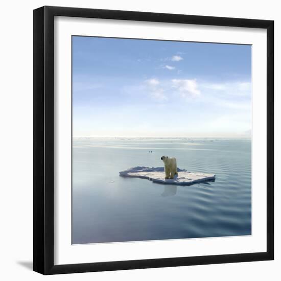 A Polar Bear Managed to Get on One of the Last Ice Floes Floating in the Arctic Sea.-Jan Martin Will-Framed Photographic Print