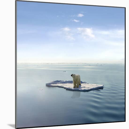 A Polar Bear Managed to Get on One of the Last Ice Floes Floating in the Arctic Sea.-Jan Martin Will-Mounted Photographic Print