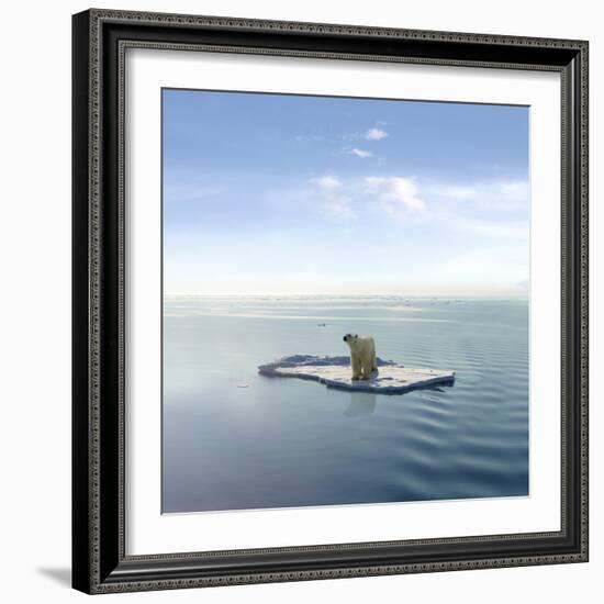 A Polar Bear Managed to Get on One of the Last Ice Floes Floating in the Arctic Sea.-Jan Martin Will-Framed Photographic Print