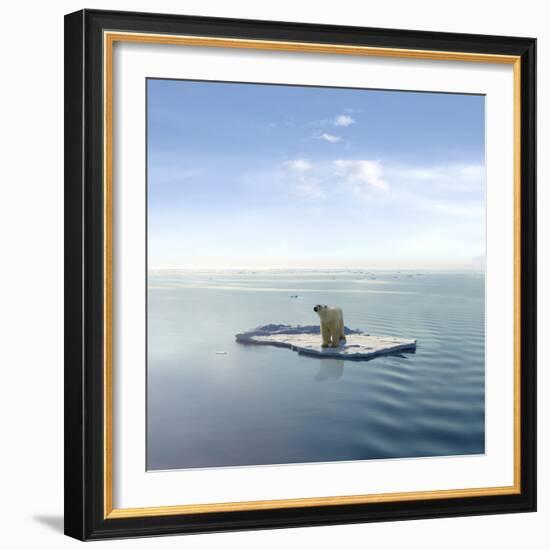 A Polar Bear Managed to Get on One of the Last Ice Floes Floating in the Arctic Sea.-Jan Martin Will-Framed Photographic Print