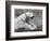 A Polar Bear Resting on a Rocky Ledge at London Zoo in 1931 (B/W Photo)-Frederick William Bond-Framed Giclee Print