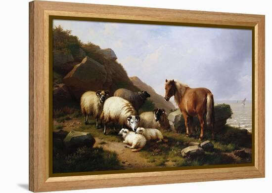 A Pony and Sheep on a Cliff with a Sailing Vessel Beyond, 1868-Alfred Thompson Bricher-Framed Premier Image Canvas