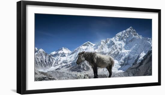 A Pony In The Sun In Gorekshep, Nepal-Rebecca Gaal-Framed Photographic Print