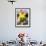 A Poodle Named Peter is Posed on its Owner's Hand During Competition at the World Dog Exhibition-null-Framed Photographic Print displayed on a wall