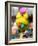 A Poodle Named Peter is Posed on its Owner's Hand During Competition at the World Dog Exhibition-null-Framed Photographic Print