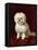 A Poodle-Henriette Ronner-Knip-Framed Premier Image Canvas