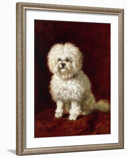 A Poodle-Henriette Ronner-Knip-Framed Giclee Print