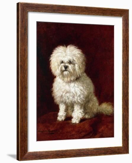 A Poodle-Henriette Ronner-Knip-Framed Giclee Print