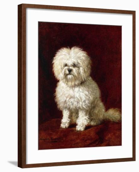 A Poodle-Henriette Ronner-Knip-Framed Giclee Print