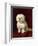 A Poodle-Henriette Ronner-Knip-Framed Giclee Print