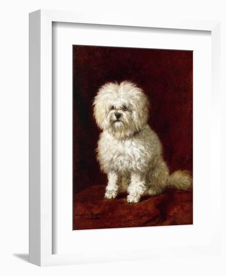 A Poodle-Henriette Ronner-Knip-Framed Giclee Print