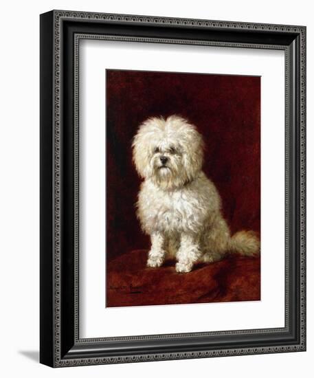 A Poodle-Henriette Ronner-Knip-Framed Giclee Print