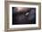 A poor lonesome paquerette-Fabien BRAVIN-Framed Photographic Print