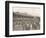 'A portion of the Derby Club Racecourse Enclosure', 1914-Unknown-Framed Photographic Print