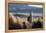 A Portrait of a Large Llama in Sajama National Park, Bolivia-Alex Saberi-Framed Premier Image Canvas