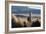 A Portrait of a Large Llama in Sajama National Park, Bolivia-Alex Saberi-Framed Photographic Print