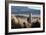 A Portrait of a Large Llama in Sajama National Park, Bolivia-Alex Saberi-Framed Photographic Print