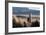 A Portrait of a Large Llama in Sajama National Park, Bolivia-Alex Saberi-Framed Photographic Print