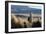 A Portrait of a Large Llama in Sajama National Park, Bolivia-Alex Saberi-Framed Photographic Print