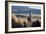 A Portrait of a Large Llama in Sajama National Park, Bolivia-Alex Saberi-Framed Photographic Print