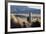 A Portrait of a Large Llama in Sajama National Park, Bolivia-Alex Saberi-Framed Photographic Print