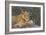 A Portrait Of A Wild Lioness Making Eye Contact With The Camera. Mana Pools, Zimbabwe-Karine Aigner-Framed Photographic Print