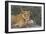 A Portrait Of A Wild Lioness Making Eye Contact With The Camera. Mana Pools, Zimbabwe-Karine Aigner-Framed Photographic Print