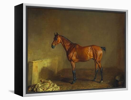 A Portrait of 'Marshall' a Bay Racehorse, in a Stall-Edward Troye-Framed Premier Image Canvas