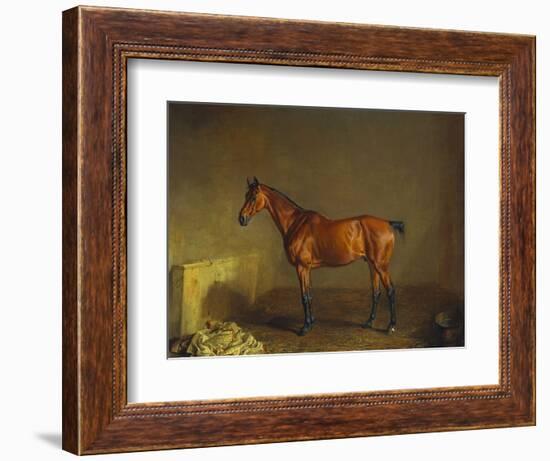 A Portrait of 'Marshall' a Bay Racehorse, in a Stall-Edward Troye-Framed Giclee Print