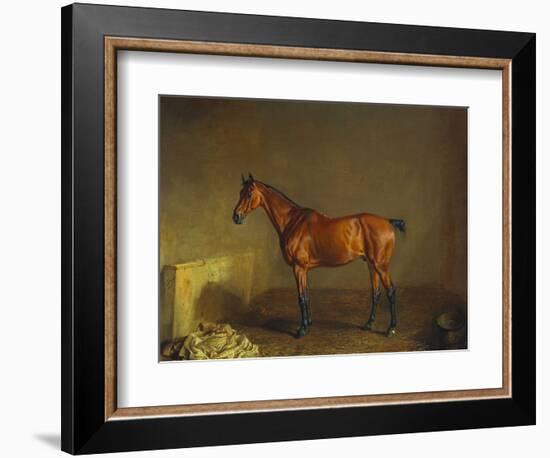 A Portrait of 'Marshall' a Bay Racehorse, in a Stall-Edward Troye-Framed Giclee Print