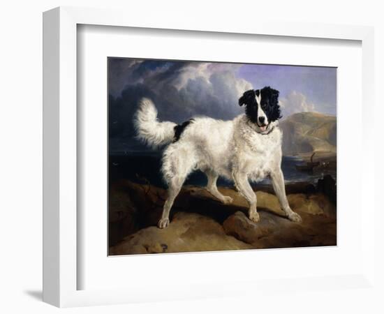 A Portrait of Neptune-Edwin Henry Landseer-Framed Giclee Print