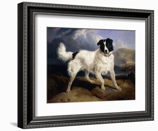 A Portrait of Neptune-Edwin Henry Landseer-Framed Giclee Print