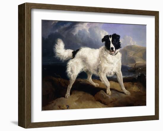 A Portrait of Neptune-Edwin Henry Landseer-Framed Giclee Print