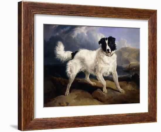 A Portrait of Neptune-Edwin Henry Landseer-Framed Giclee Print