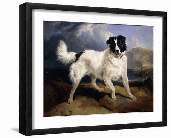 A Portrait of Neptune-Edwin Henry Landseer-Framed Giclee Print