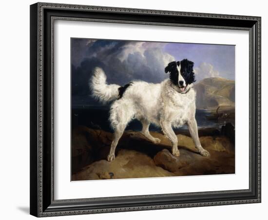 A Portrait of Neptune-Edwin Henry Landseer-Framed Giclee Print