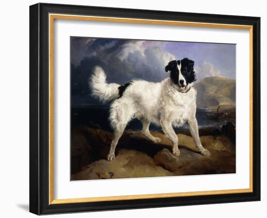 A Portrait of Neptune-Edwin Henry Landseer-Framed Giclee Print