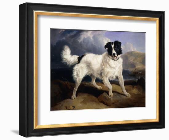 A Portrait of Neptune-Edwin Henry Landseer-Framed Premium Giclee Print